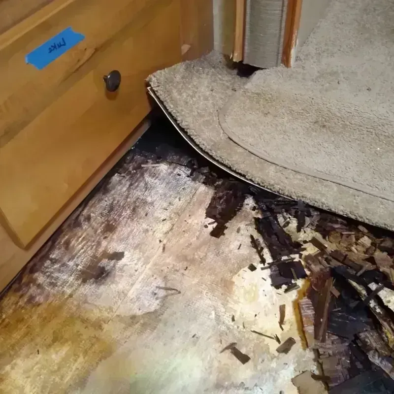 Wood Floor Water Damage in Bellview, FL